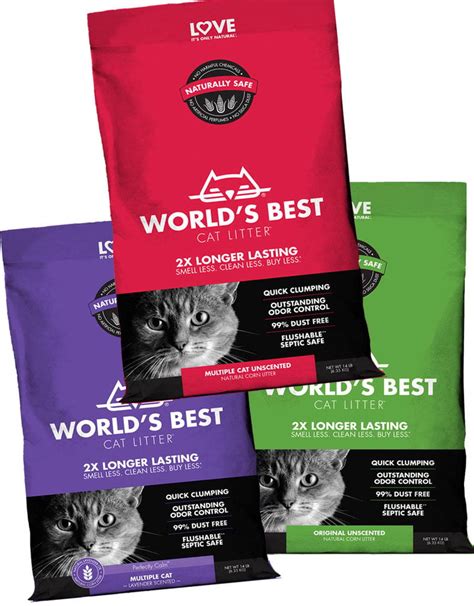 best cat litter